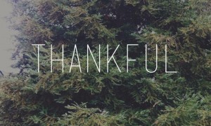 #GetTHANKFUL: A 26 Day Challenge  to More Fun, Abundance and Alignment